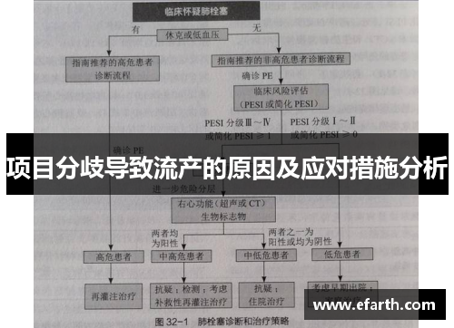 项目分歧导致流产的原因及应对措施分析